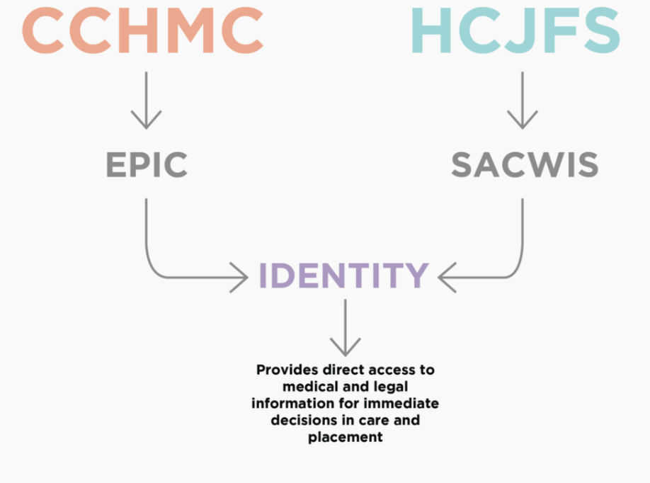 Secondary overview of the IDENTITY portal system
